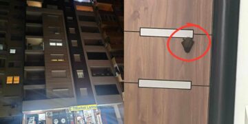 Lakuriqët e natës vërshojnë korridorin e objektit të ndërtuar nga “Aurora Group”, banorët ndihen të rrezikuar