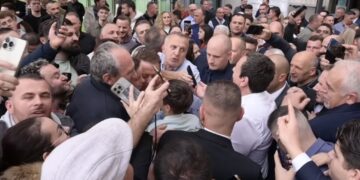 Kurti: Nga lufta për çlirim deri te përpjekja për pavarësi, asnjëra nuk do të arrihej pa mërgatën