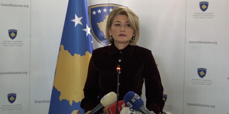 Grupi Parlamentar i VV-së mban konferencë për media