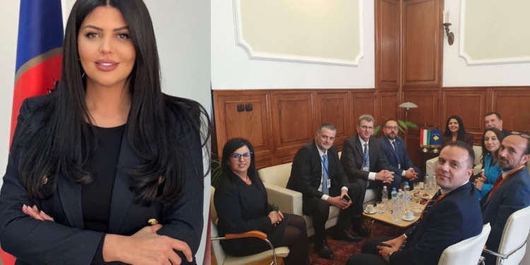 Deputetja Krasniqi: Kënaqësi të takohem në Budapest me deputetët shqiptarë nga Shqipëria, Mali i zi e Maqedonia e veriut