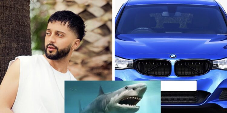 Çuditë Gjesti me teorinë e tij: BMW është e bone prej peshkaqenit