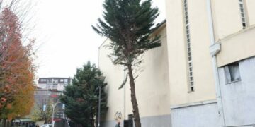 Komuna e Prishtinës aku’zon Ministrinë e Kulturës për prerjen e pishave rreth Teatrit: Akt i dëmshëm