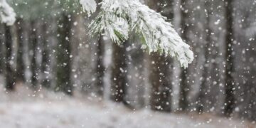 Aliu nga IHMK jep paralajmërimin: Ky dimër do të jetë më i ftohti