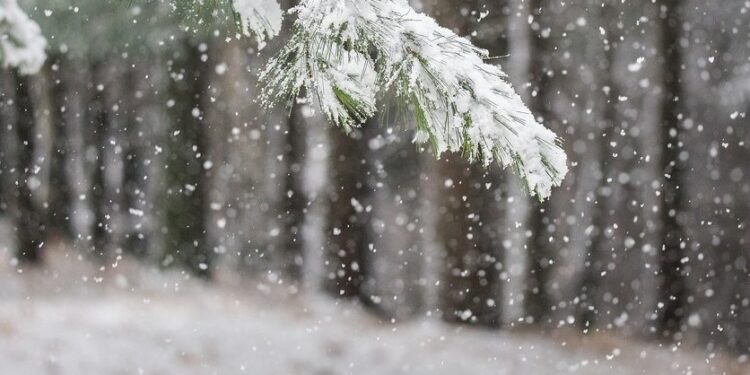 Aliu nga IHMK jep paralajmërimin: Ky dimër do të jetë më i ftohti
