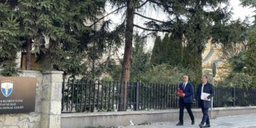 LDK-ja dorëzon në Gjykatë Kushtetuese Ligjin për Zyrtarët Publikë