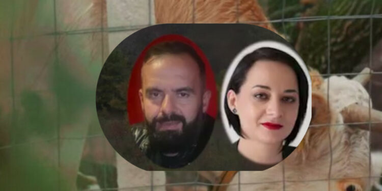 Pamje nga stalla e familjes së Fitore Pacollit që iu ndan 100 mijë euro, familjarja: 10 hektarë tokë me e lanë djerrinë a?