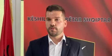 Lutfiu: Gjykata Kushtetuese në Serbi e legalizoi pasivizimin e adresave