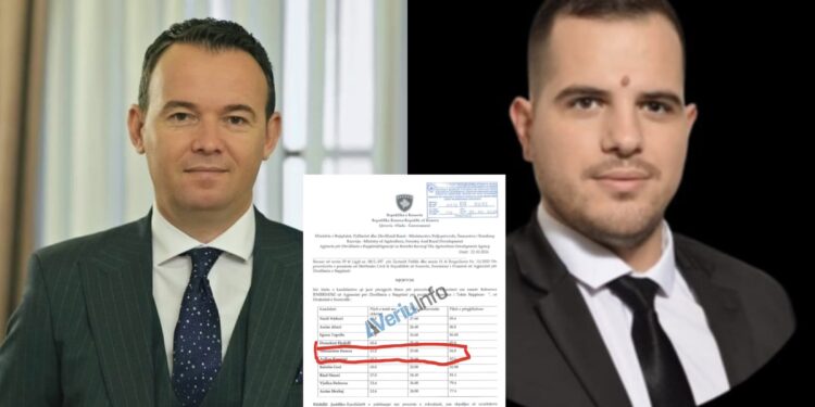 Faton Peci rehaton anëtarin e partisë së tij, Shkumbin Hamzën, në ministrinë që vet drejton (Dokument)