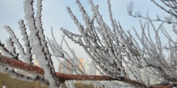 Temperatura të ulëta, ky është parashikimi i motit për Vitin e Ri