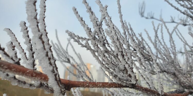 Temperatura të ulëta, ky është parashikimi i motit për Vitin e Ri