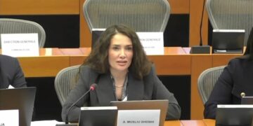 Musliu-Shoshi nga Brukseli: Kërkova nga BE-ja hetim të plotë për sulmet e Serbisë në territorin e Kosovës