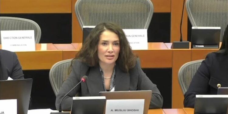 Musliu-Shoshi nga Brukseli: Kërkova nga BE-ja hetim të plotë për sulmet e Serbisë në territorin e Kosovës