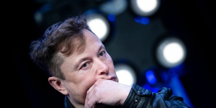 Elon Musk blen TikTok?