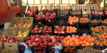 Kosova importoi 302 milionë euro mallra nga Shqipëria