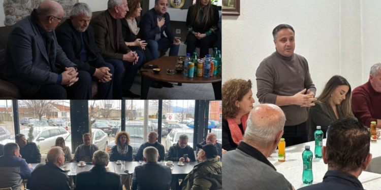 LDK e Prizrenit nuk po arrin ta marrë veten, takime me pjesëmarrje të vogël