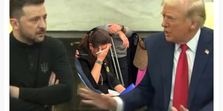Momenti kur ambasadorja ukrainase kap kokën, derisa përplasen Trump e Zelensky