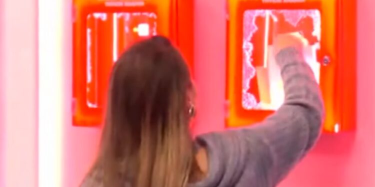 Theu kutinë e emergjencës për të telefonuar, Gerta përballet me të papriturën