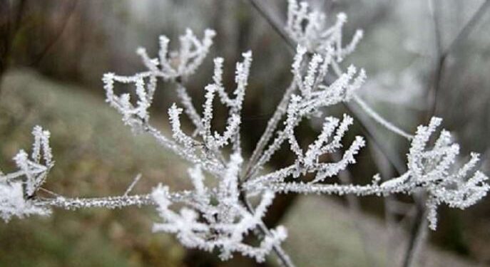 Parashikimi i motit për nesër