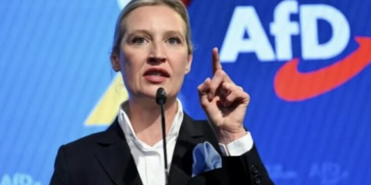 Gjermania i doli në mbrojtje demokracisë, AfD-ja do ta zhbënte atë