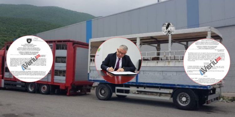 Foto: Vendimet dhe Bekim Hoxha, Drejtor Ekzekutiv i AUV