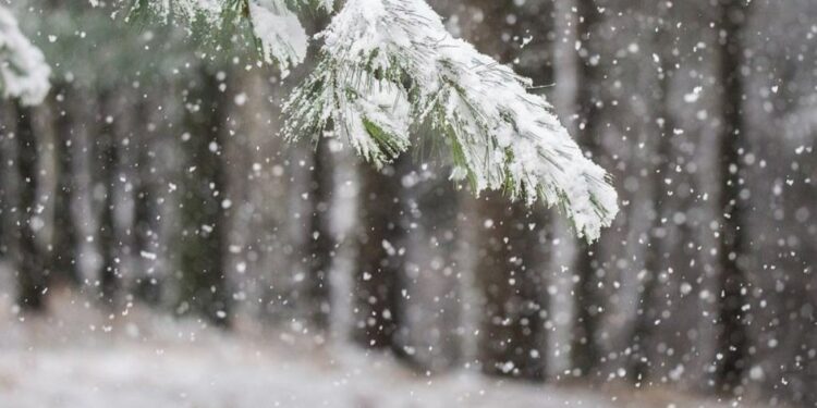 Nxirrni rrobat dimërore – Nesër borë e shi, temperaturat pritet të zbresin deri në 3C