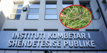 IKSHPK apelon për kujdes nga gjarpërinjtë – Jep rekomandime se si të veprohet në rast të kafshimit