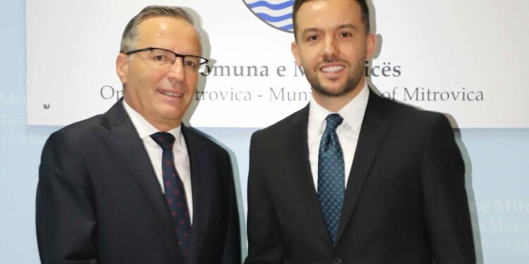 Nënkryetari i tanishëm i Mitrovicës, Arian Tahiri, kandidat i PDK-së për kryetar komune