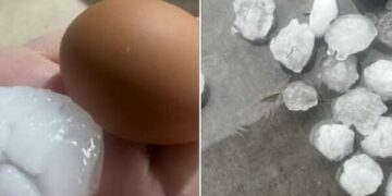 Breshëri me madhësinë e një veze shkatërron disa shtëpi në Slloveni