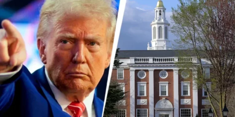 Gjykata bllokon urdhrin e Trump për studentët e huaj të Harvardit