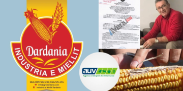 Skandal: “AgroDardania” nga “Peç” nuk respekton vendimin e AUV, fut nga Serbia në Kosovë 26 tonë misër me Aflatoksinë (përbërës kancerogjen)