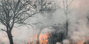 Temperaturat e larta, policia në Pejë me apel- Shmangni ndezjen e zjarreve
