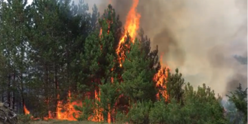 Situatë alarmante me zjarret në vend – AME raporton 80 vatra në vetëm 6 orë