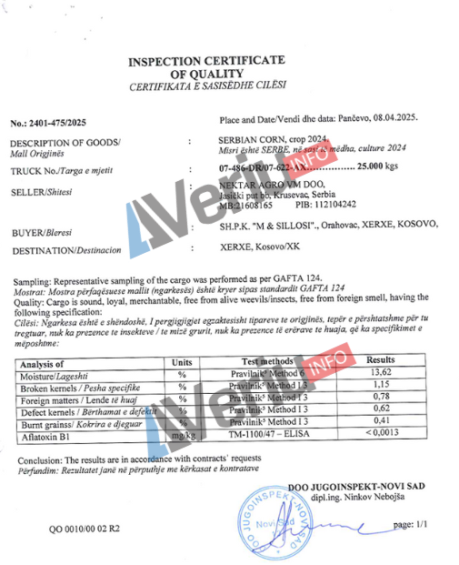 Shifokorlar mushukni BDSM bilan davolashadi