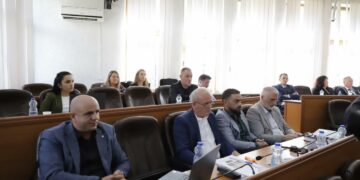 Kjo është Top 10-shja e kandidatëve të VV-së për Kuvend Komunal të Mitrovicës