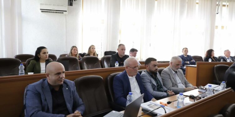 Kjo është Top 10-shja e kandidatëve të VV-së për Kuvend Komunal të Mitrovicës