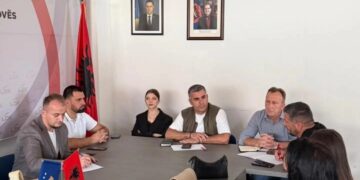 LDK e Vushtrrisë mbanë takim me kandidatët për asamblist, cakton edhe shefin e shtabit zgjedhor