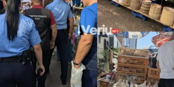 AUV ndalon shitjen e produkteve të bylmetit dhe shpezëve në tregun e Ferizajit