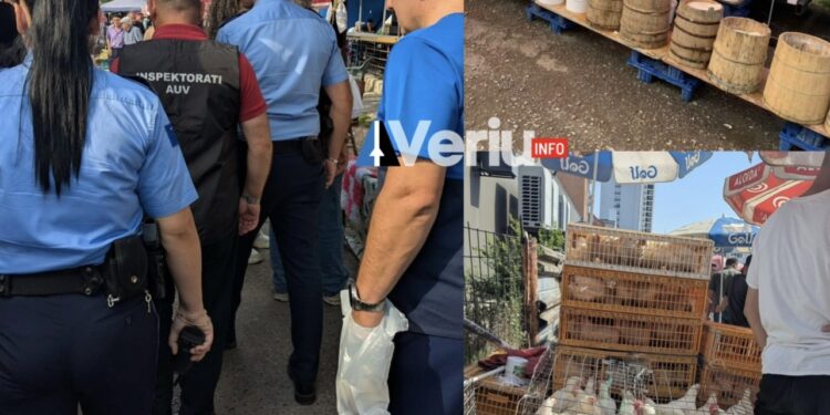 AUV ndalon shitjen e produkteve të bylmetit dhe shpezëve në tregun e Ferizajit