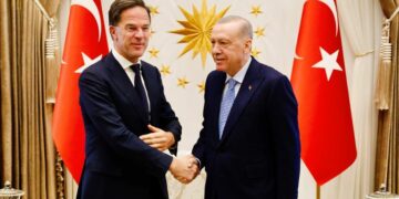 Presidenti turk dhe shefi i NATO-s diskutojnë mbi garancinë e sigurisë së Ukrainës