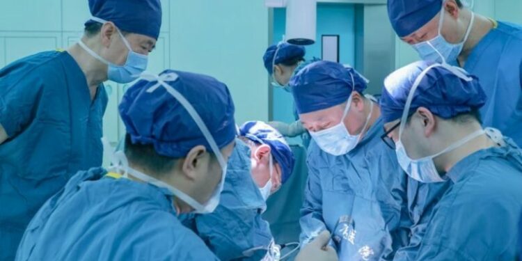 Kina kryen transplantin e parë të mushkërisë së derrit te një njeri