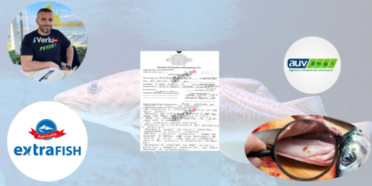 Skandal: Kompanisë “Extra Fish” me pronar Ilir Maçani i gjenden 179 kg peshk të infektuar me krimba (Dokument/Pamje)