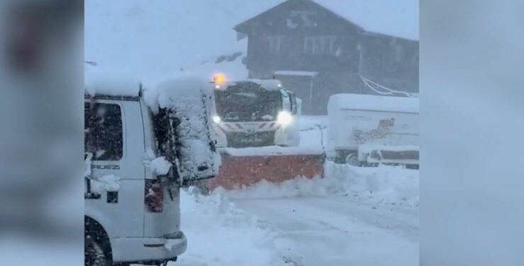 Bie bora e parë në Alpe