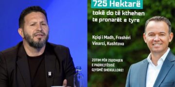 Sefaj: Premtimi i Pecit për kthimin e pronave është mashtrim elektroal për vota, Komuna nuk ka kompetencë – ka vetëm gjykata dhe Kuvendi me ligj të veçantë