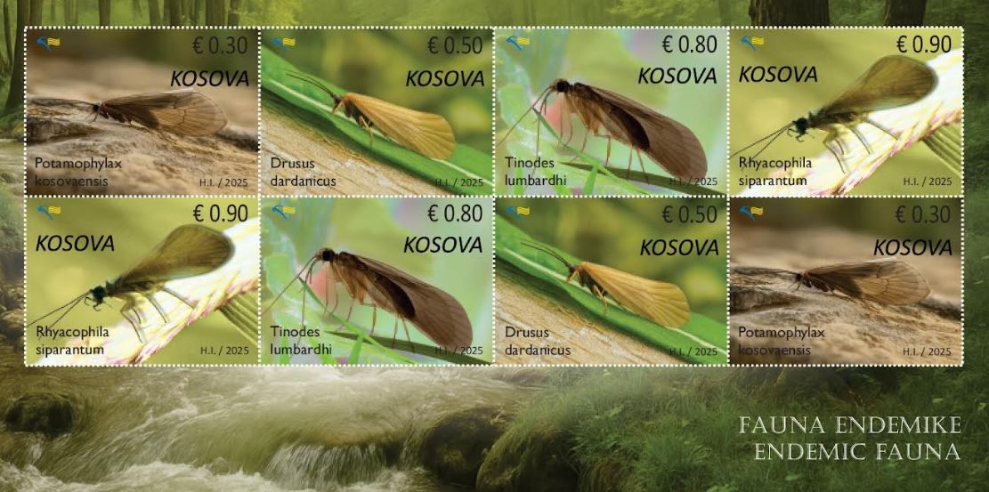 Pullat postare emetohen “Fauna endemike” në Ditën e Lumenjve