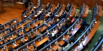 Dështon edhe zgjedhja e Liliana Stevanofiqit për nënkryetare