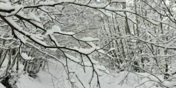 Kosova zgjohet me borë, meteorologu Aliu tregon se kur ndodh zakonisht ky fenomen
