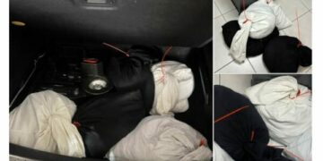 Dogana zbulon 50 mijë euro metalike të padeklaruar në Vermicë