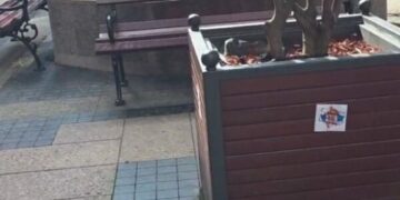 Provokime në qytetin ku ndodhet hoteli i Kombëtares shqiptare në Serbi, vendosin hartën e Kosovës me flamurin serb