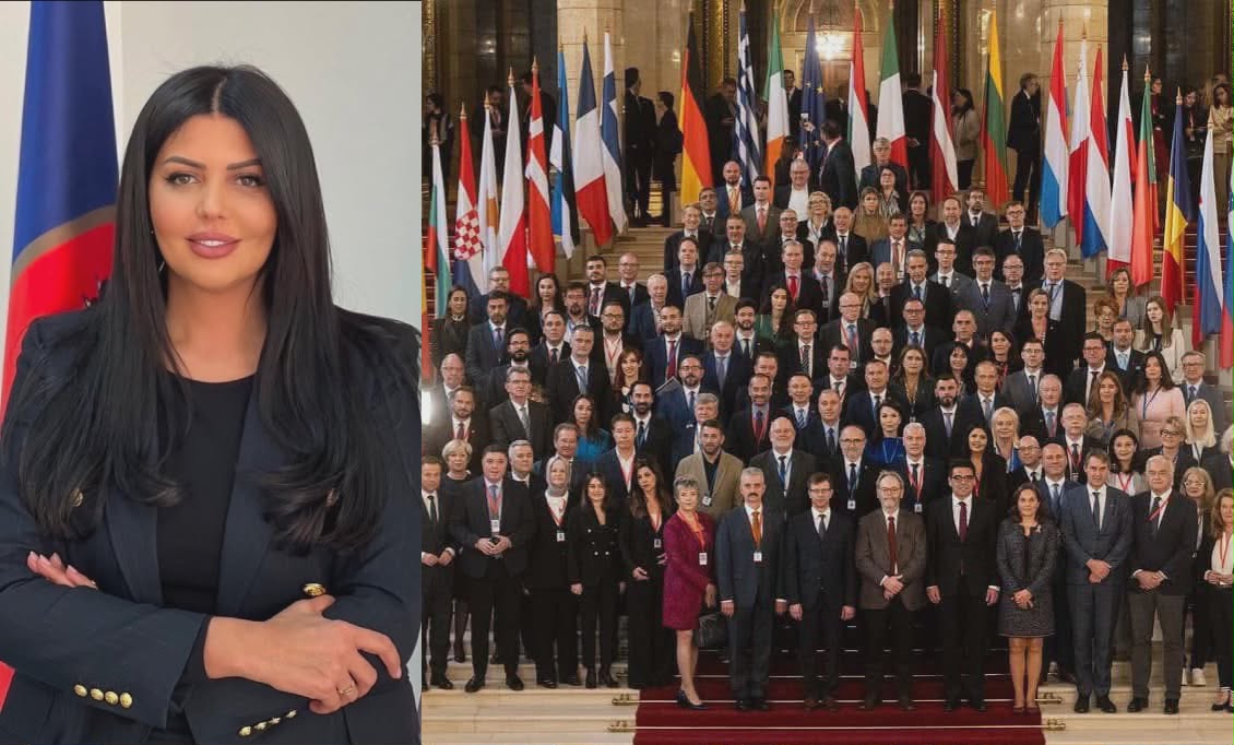 Krasniqi: MSA, një nga arritjet më të mëdha të Republikës së Kosovës, nën qeverisjen e LDK-së