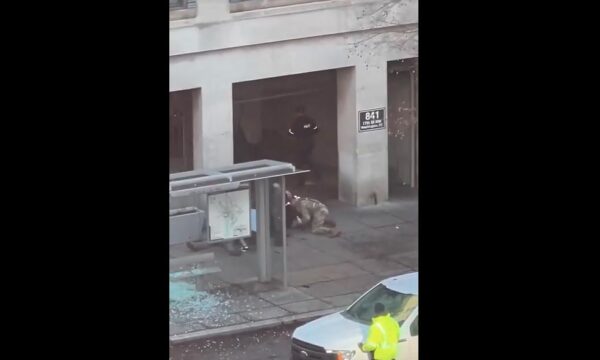 Publikohet video e momentit të arrestimit të sulmuesit të Uashingtonit: Ai rezistoi ashpër